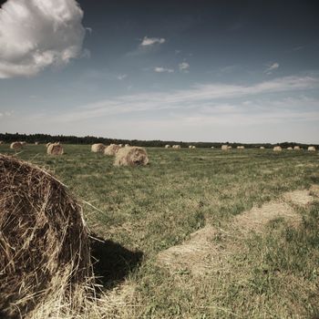 Rolling haystack on summer field