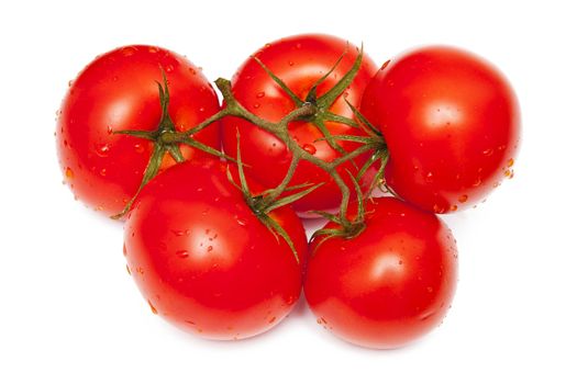 Tomatoes isolated on the white background