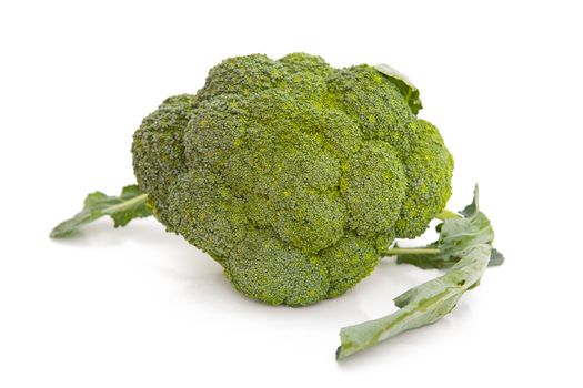 Broccoli isolated on the white background