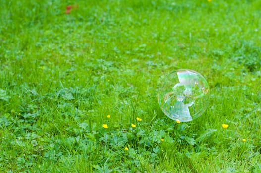 Shot of soap bubble on green grass