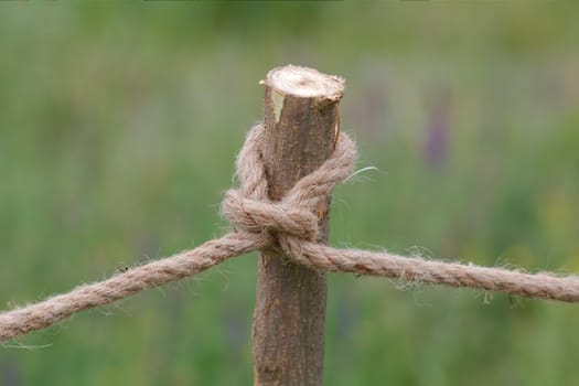 A rope, knotted a knot on a wooden column