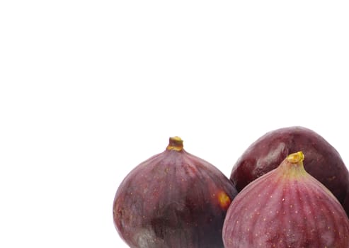 fig