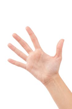 Open woman hand or number five isolated on white 