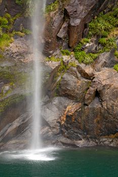 tropical rainforest waterfall in milford sound fiordland of New Zealand