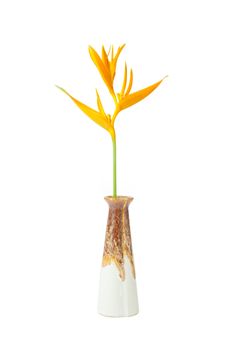 Brown vase flower isolated on white background