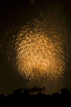 Fireworks Exploding