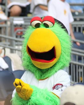 PITTSBURGH - SEPTEMBER 24 : The Pirate Parrot of the Pittsburgh Pirates during a game against Cincinnati Reds on September 24, 2009 in Pittsburgh, PA.