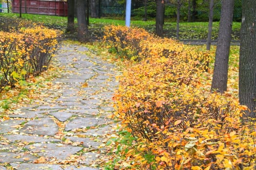 late autumn in the city of Moscow park, outdoor recreation