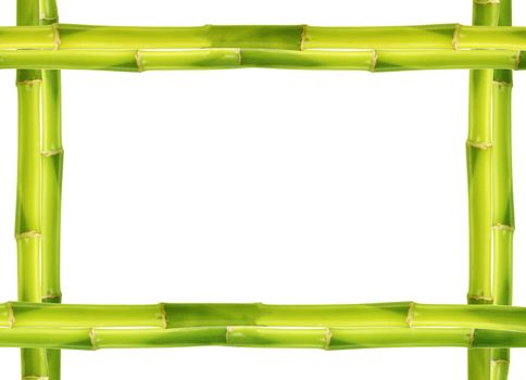 Bamboo frame made of stems