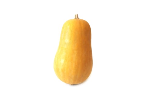 Single Pumpkin isolated on white