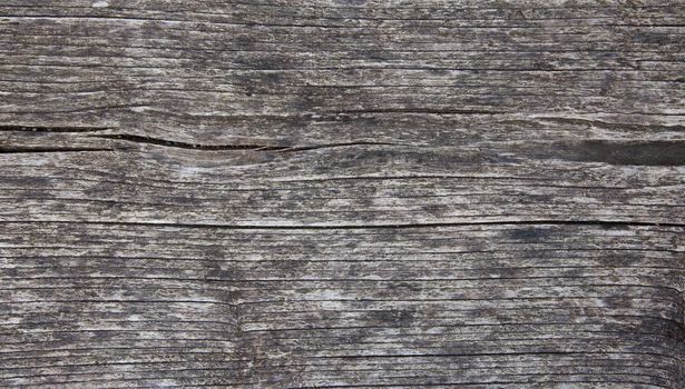 Weathered old wooden log background texture.