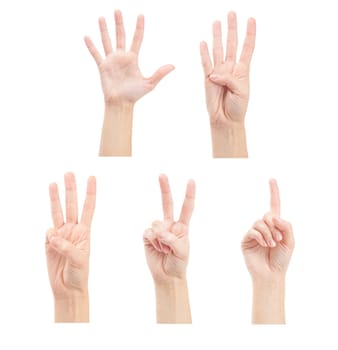 Counting woman hands (1 to 5) isolated on white background