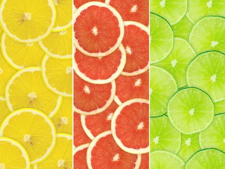 Abstract background of citrus slices. Closeup. Studio photography.