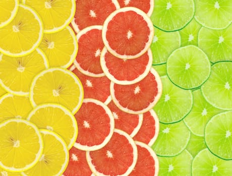 Abstract background of citrus slices. Closeup. Studio photography.