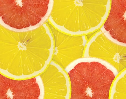 Abstract background of citrus slices. Closeup. Studio photography