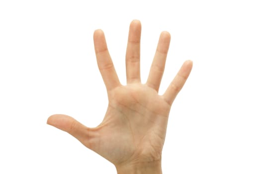 hand gestures isolated on a white