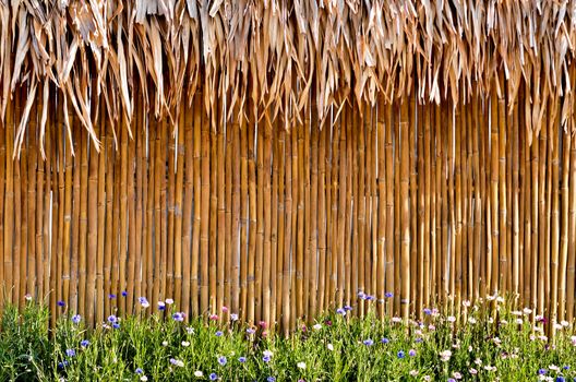 bamboo fence with beautiful flower