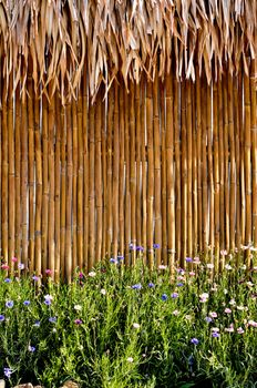 bamboo fence with beautiful flower