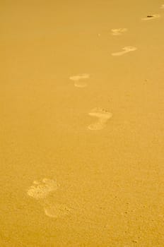 foot  print on the beach