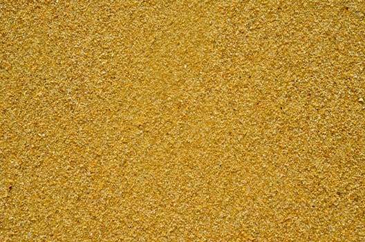 texture of Simple flat sand