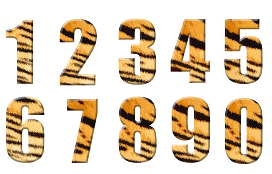 alphabet in style of a tiger skin