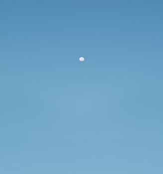 Early morning moon in sky Australian background