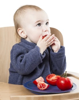young child eating in high chair isolated in white backgound