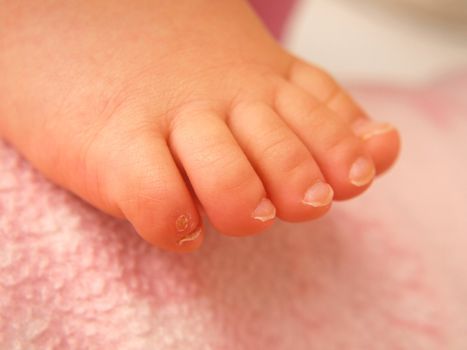 Closeup of baby feet, isolated towards pink