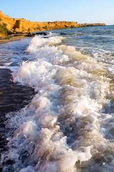 tropical waves at the beach scenic