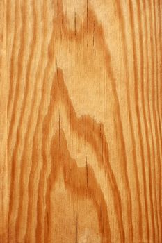 Structure macro of wooden cutting board with annual rings