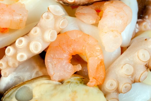 seafood salad background prawn octopus squid