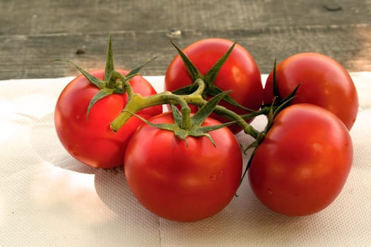 Closeup of tomatoes on table background