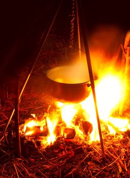 saucepan on campfires - fish cooking
