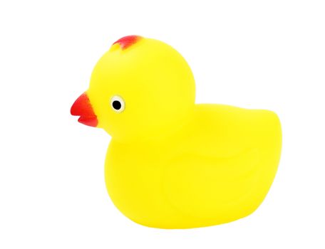 Toy duckling isolated on white background