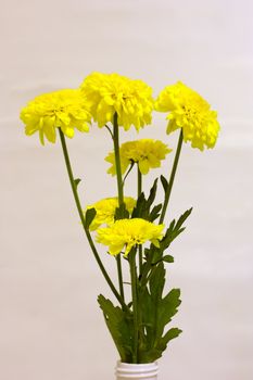 Vase decorated with yellow flowers.