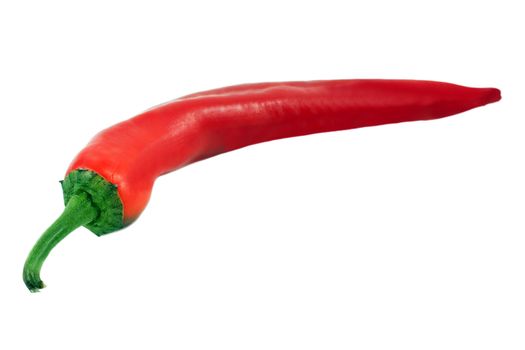pepper chile isolated over white background