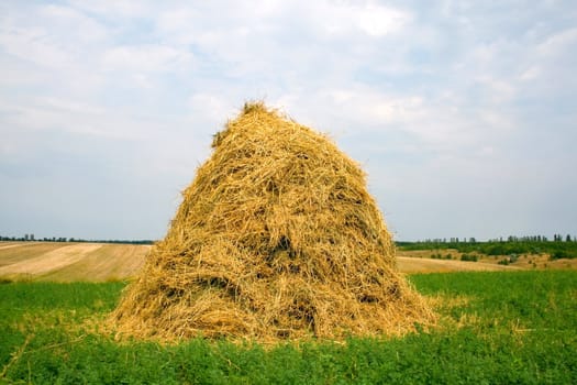Agricultural landscape of stack Hay