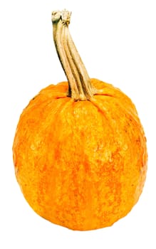 pumpkin isolated on white background.