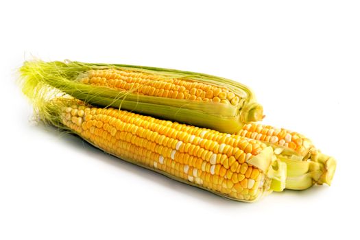 corn vegetable isolated on white background.
