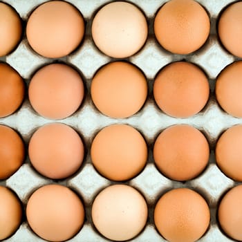 Chicken egg background in the package