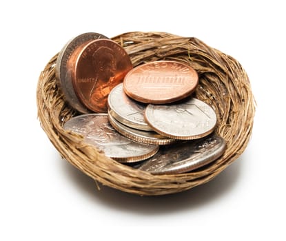 concept coins in nest isolated on white background