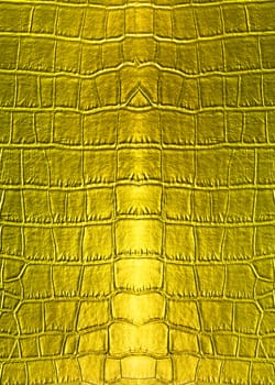 Skin golden leather texture surface background