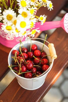 Ripe cherries close up on the branch outdoor