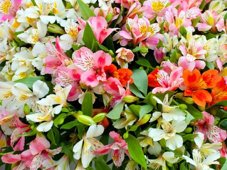 Colorful flower bouquet bed background.