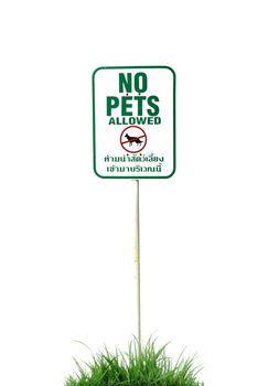 no pets allowed sign isolated