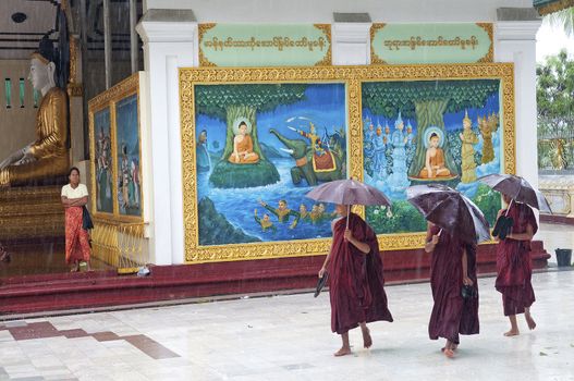 monks in rain at shwedagon pagoda temple in yangon myanmar