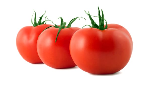 three fresh tomato in white background