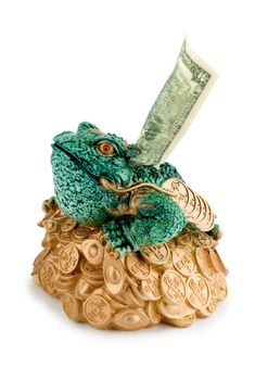 piggy bank from ceramics frog of currency