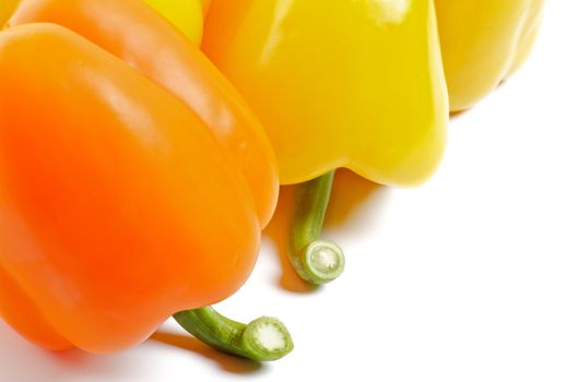 Yellow and Orange Bell Peppers with fresh tails close up on white background