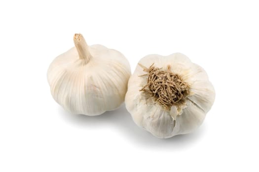 garlic spice isolated on the white background